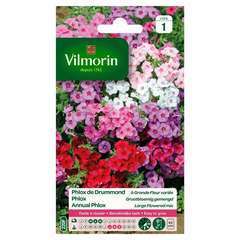 40 cm Vilmorin Phlox de Drummond a grande Fleur variee code 1 Multicolore